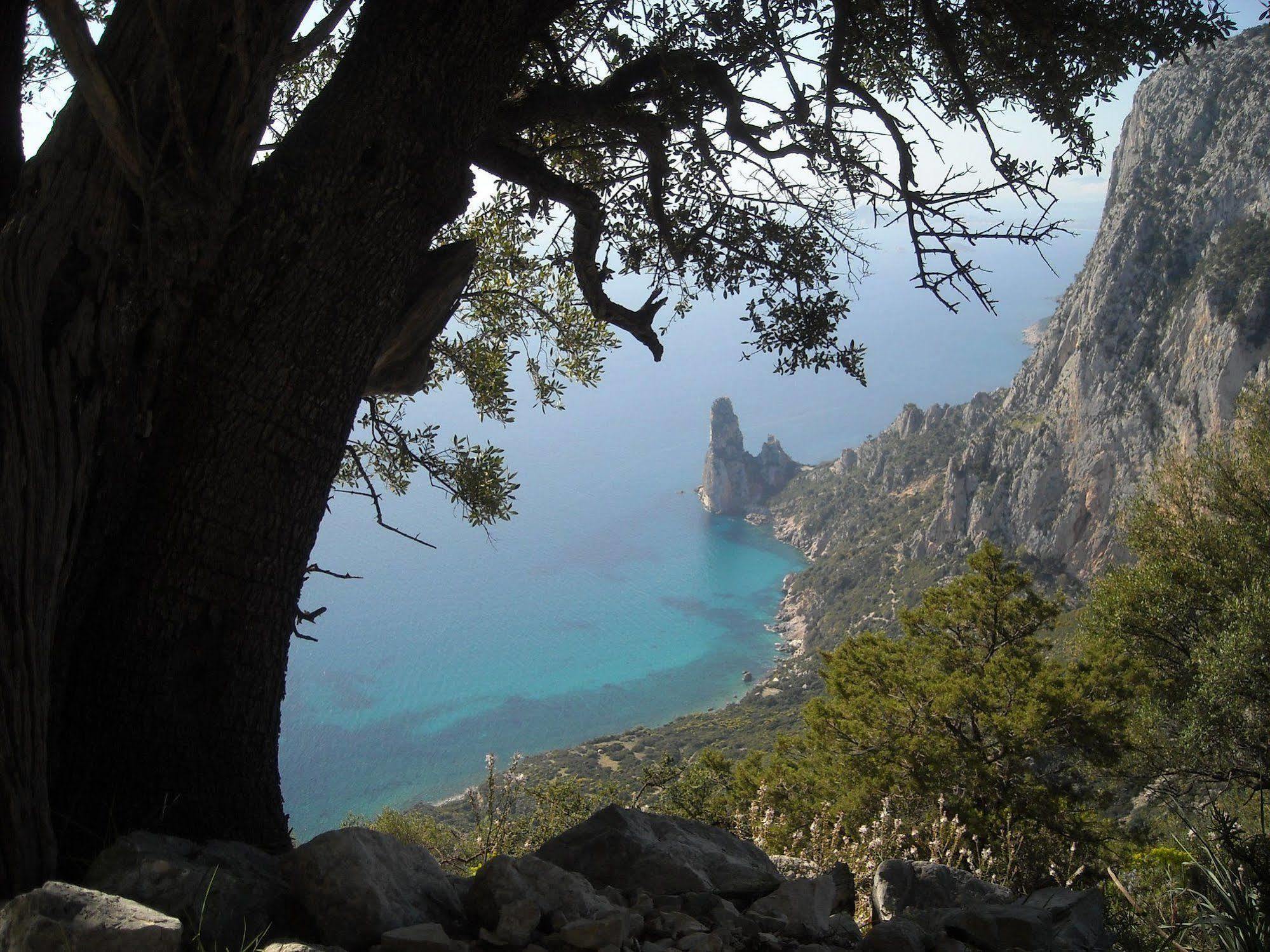Ostello Bellavista Santa Maria Navarrese Εξωτερικό φωτογραφία